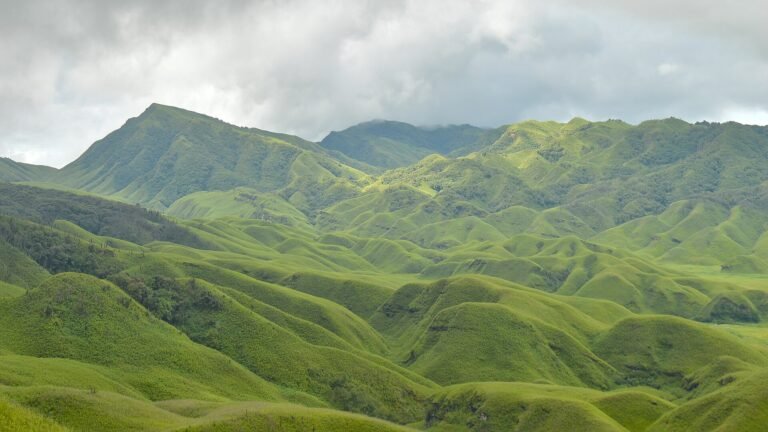 Dzukou Valley on the Nagaland-Manipur border, a representative image of the Naga hills region