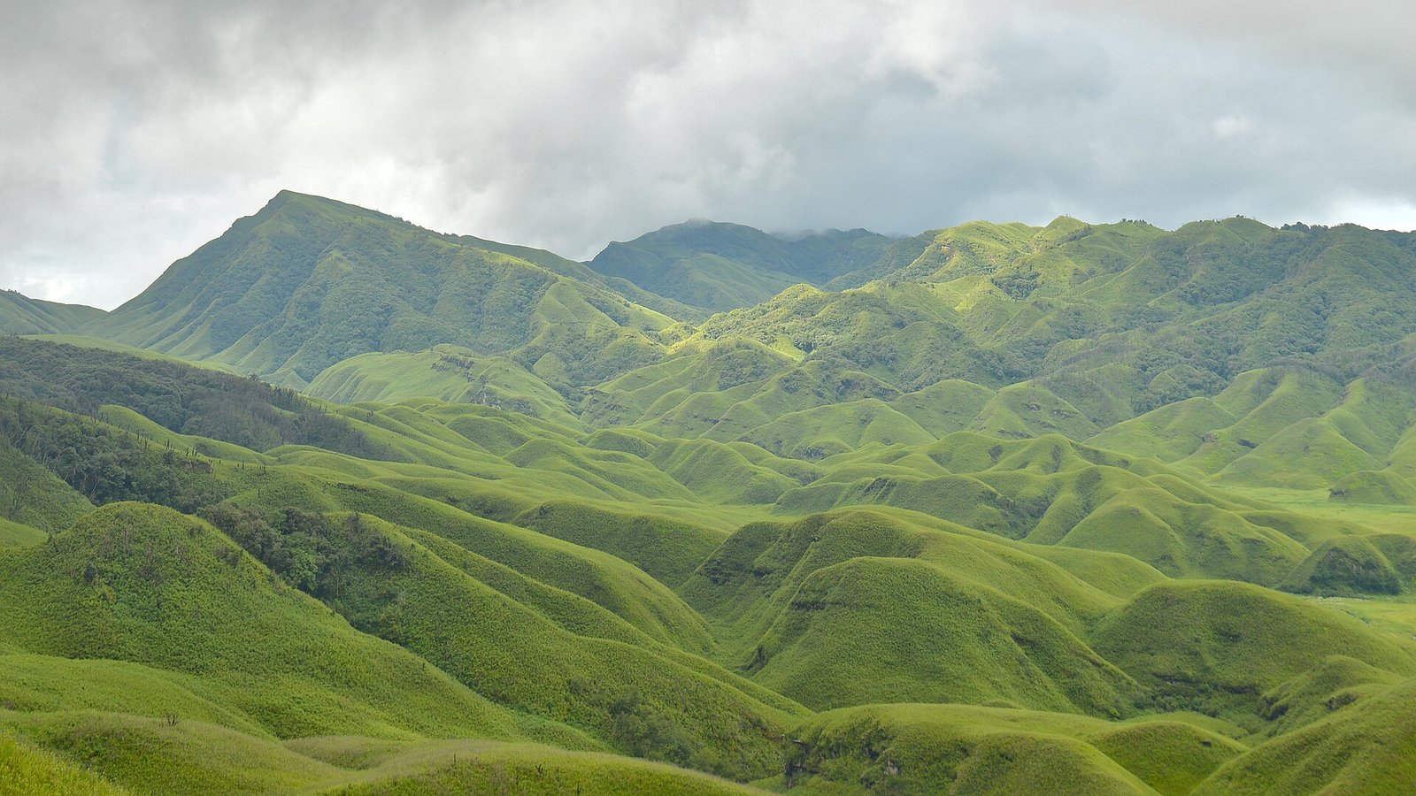 Dzukou Valley on the Nagaland-Manipur border, a representative image of the Naga hills region